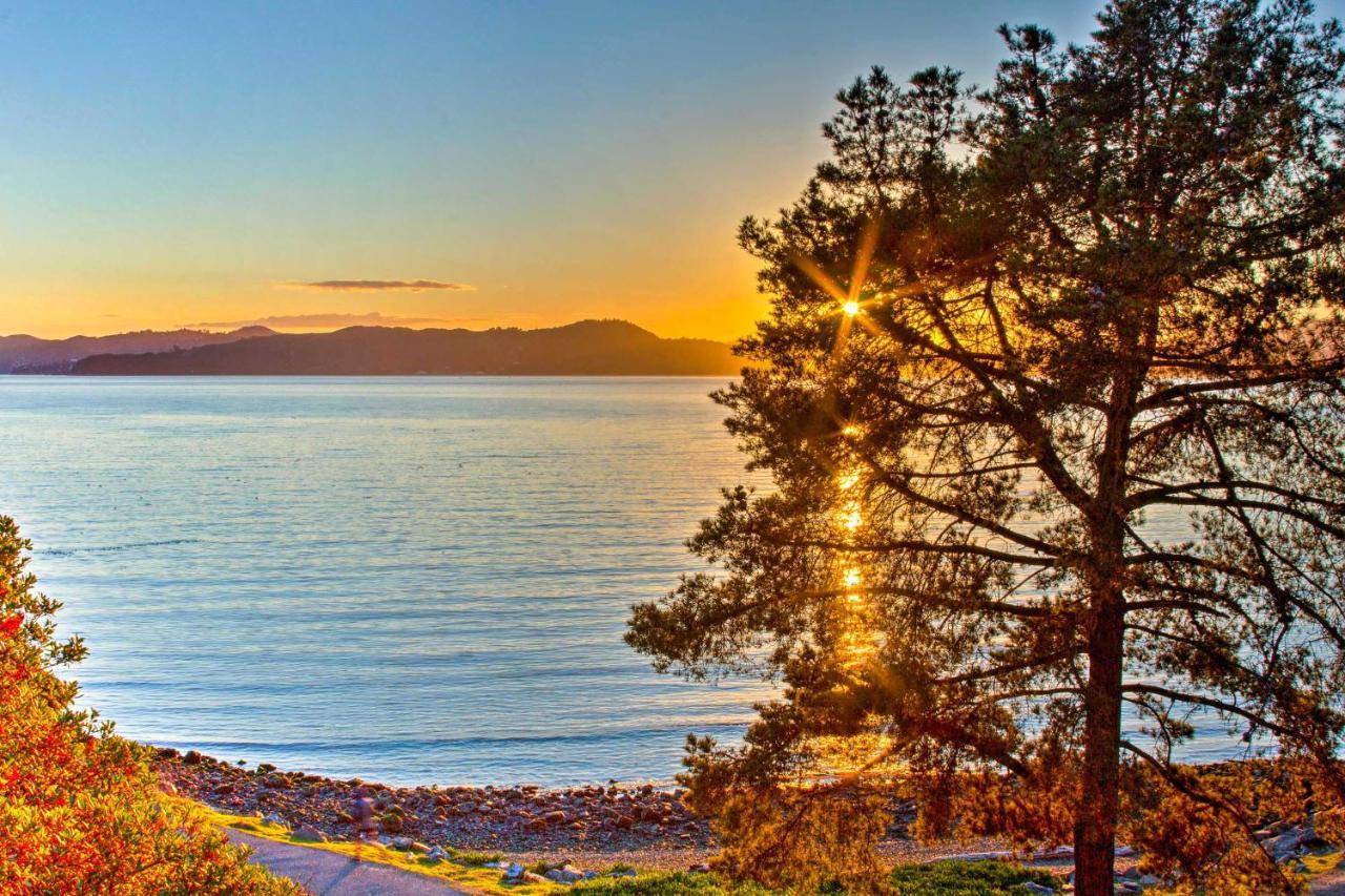 Luxury Studio With Hot Tub And San Francisco Bay Views リッチモンド エクステリア 写真