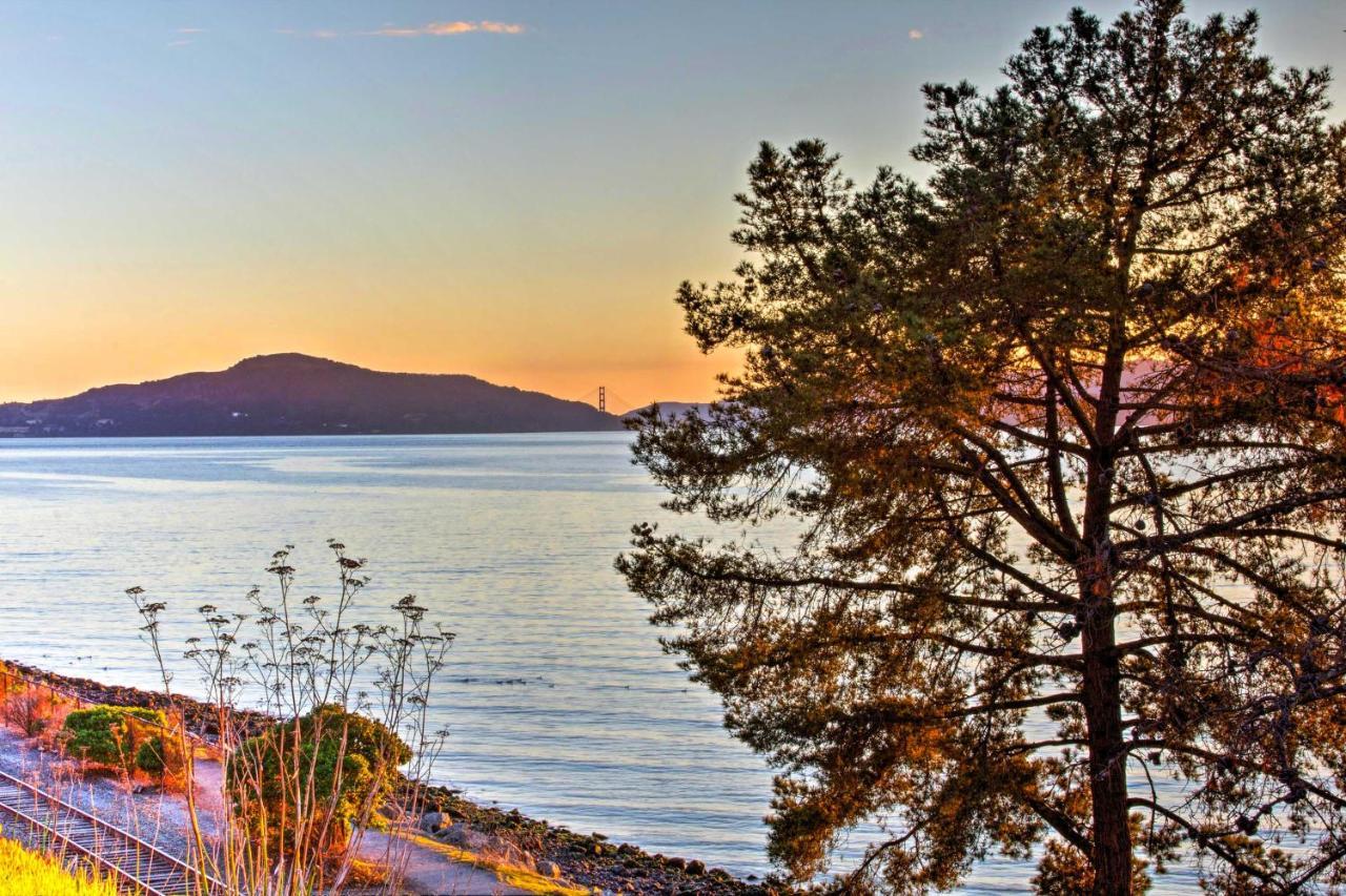 Luxury Studio With Hot Tub And San Francisco Bay Views リッチモンド エクステリア 写真